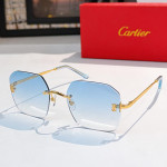Cartier, Men Sunglasses