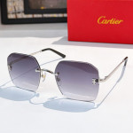 Cartier, Men Sunglasses