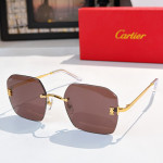 Cartier, Men Sunglasses
