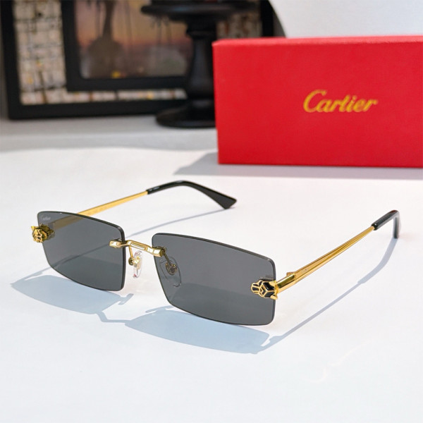 Cartier, Men Sunglasses