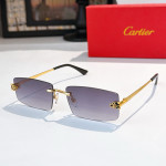 Cartier, Men Sunglasses