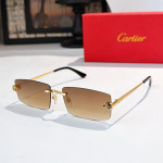 Cartier, Men Sunglasses
