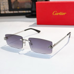 Cartier, Men Sunglasses