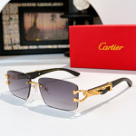 Cartier, Men Sunglasses