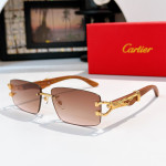 Cartier, Men Sunglasses