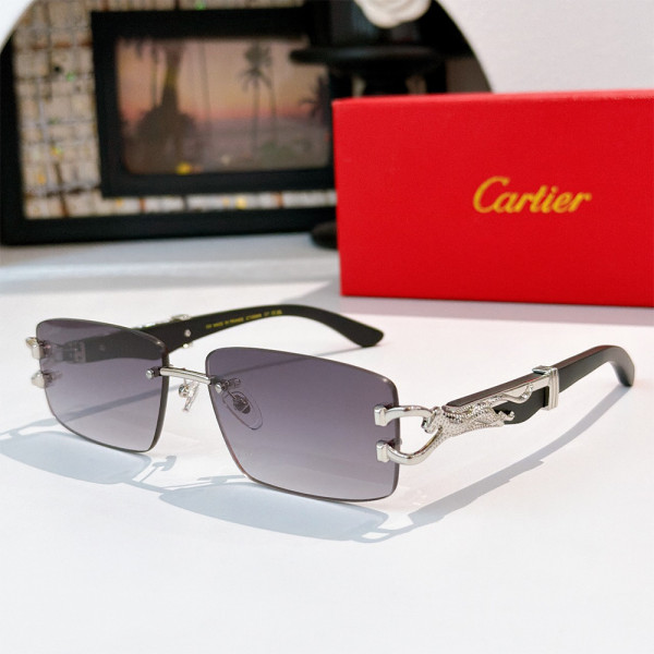 Cartier, Men Sunglasses