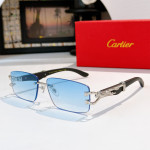 Cartier, Men Sunglasses