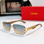 Cartier, Men Sunglasses