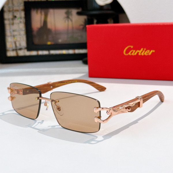 Cartier, Men Sunglasses