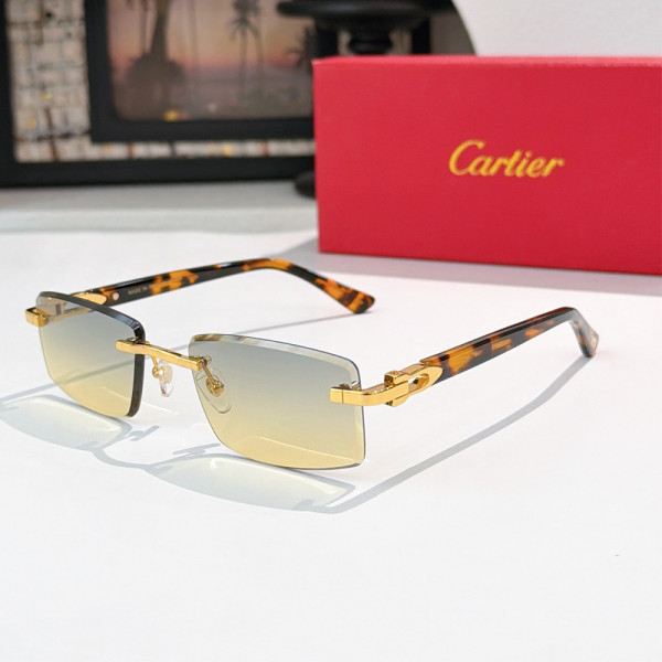 Cartier, Men Sunglasses