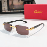 Cartier, Men Sunglasses