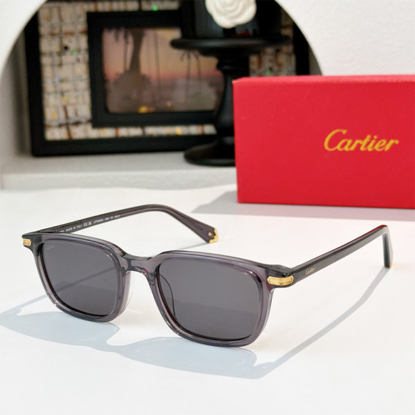 Cartier, Men Sunglasses