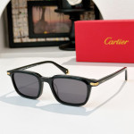 Cartier, Men Sunglasses