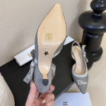 Christian Dior, Women Pump