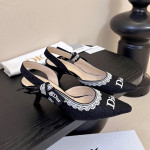 Christian Dior, Women Pump