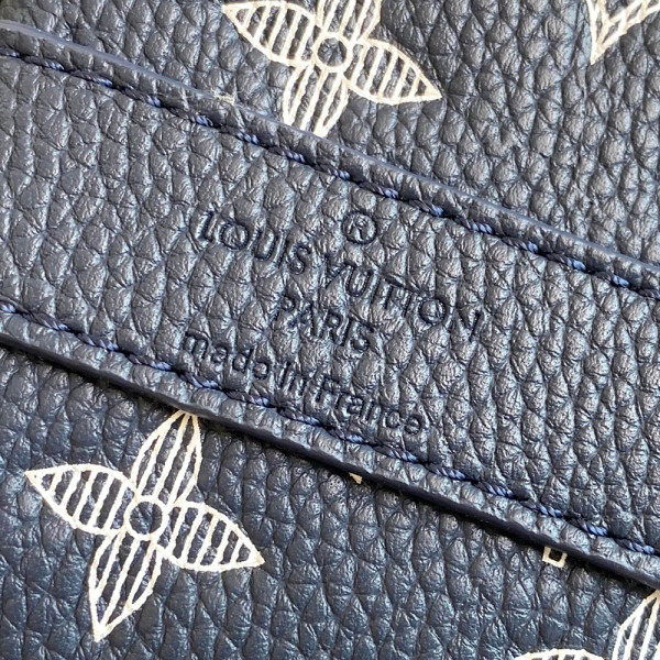 Louis Vuitton, Men Bag