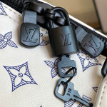 Louis Vuitton, Men Bag