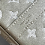 Louis Vuitton, Men Bag