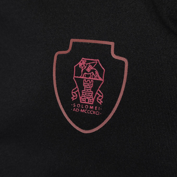 Brunello Cucinelli, Men Polo