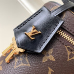 Louis Vuitton, Vanity Chain Pouch, Women Bag, Brown