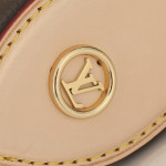 Louis Vuitton, Women Bag, Brown