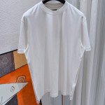 Loro Piana, Men T-Shirt