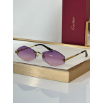 Cartier, Unisex Sunglasses