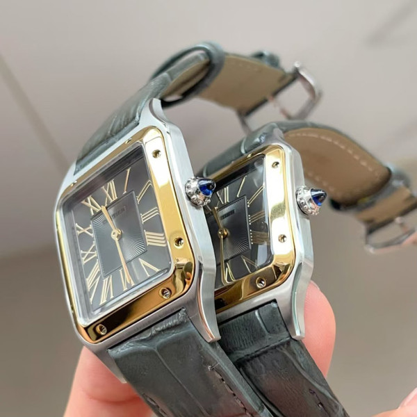 Cartier, Women Watch, Grey