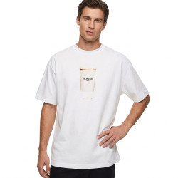 Balenciaga, Men T-Shirt