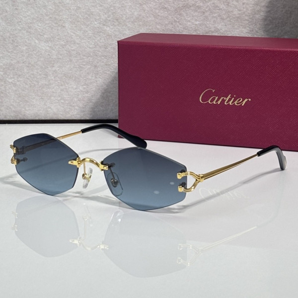 Cartier, Unisex Sunglasses