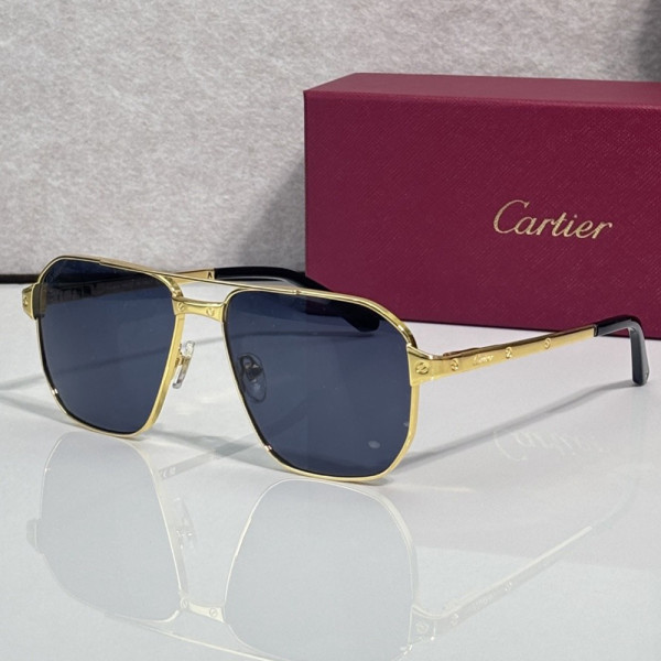 Cartier, Unisex Sunglasses