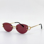 Cartier, Unisex Sunglasses