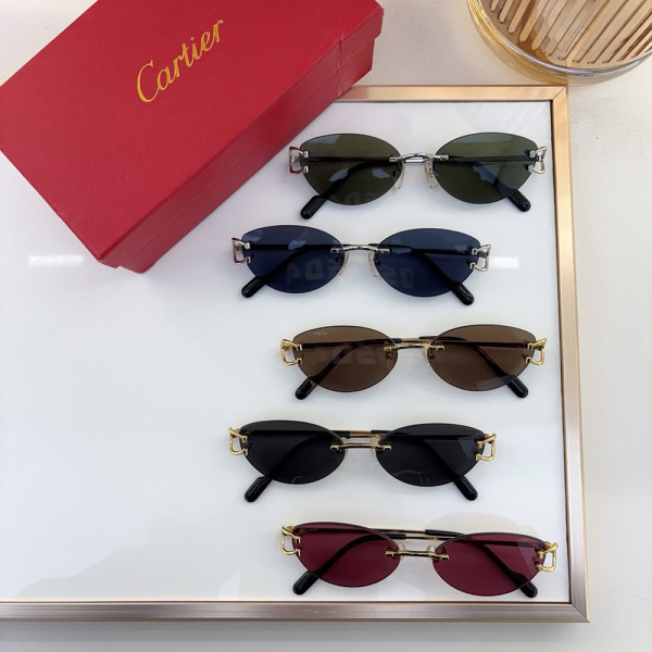 Cartier, Unisex Sunglasses