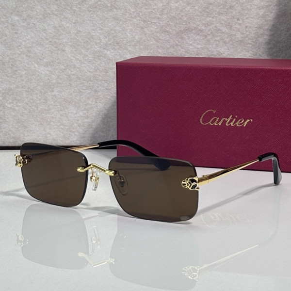 Cartier, Unisex Sunglasses
