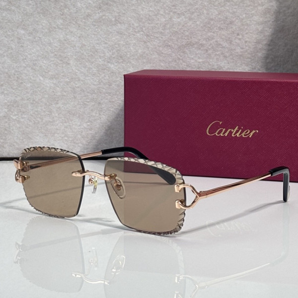Cartier, Unisex Sunglasses