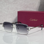 Cartier, Unisex Sunglasses