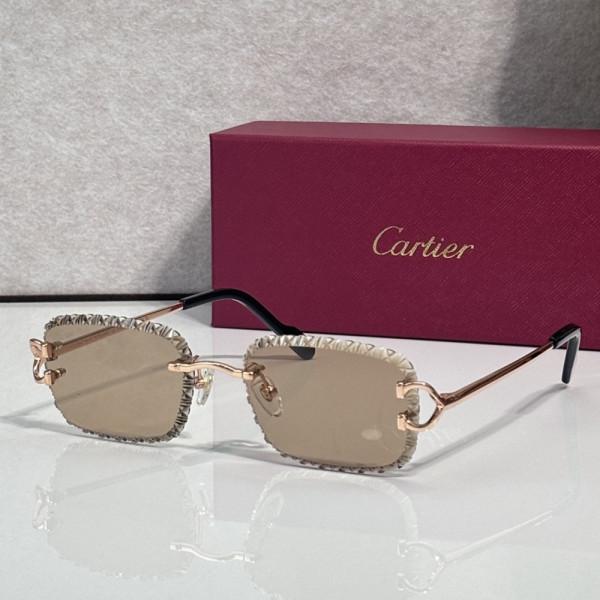 Cartier, Unisex Sunglasses