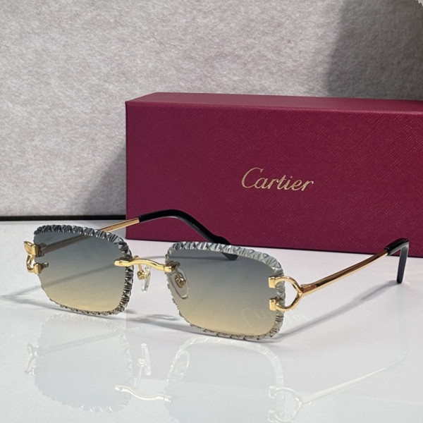 Cartier, Unisex Sunglasses
