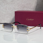 Cartier, Unisex Sunglasses
