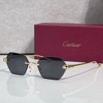 Cartier, Unisex Sunglasses