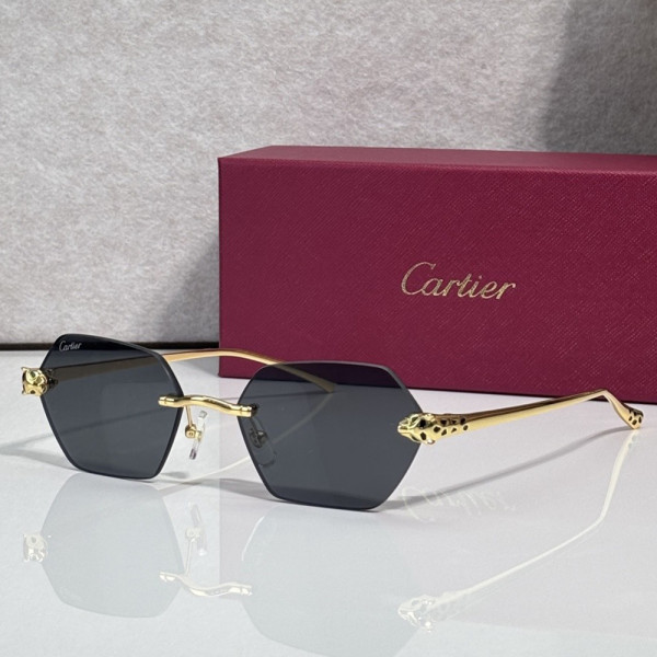 Cartier, Unisex Sunglasses