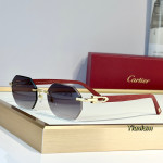 Cartier, Unisex Sunglasses
