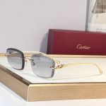 Cartier, Women Sunglasses