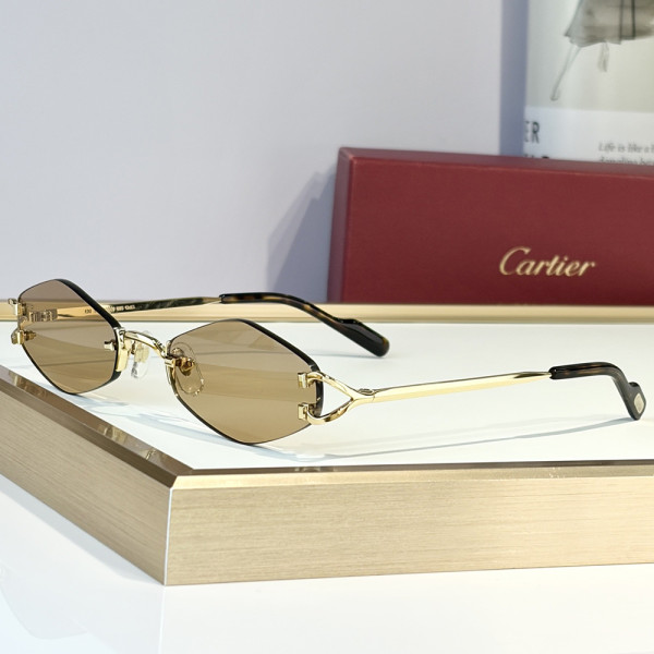 Cartier, Unisex Sunglasses