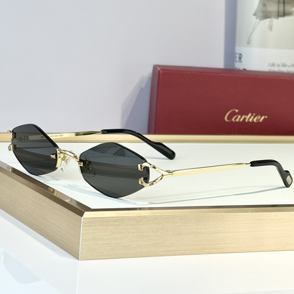 Cartier, Unisex Sunglasses