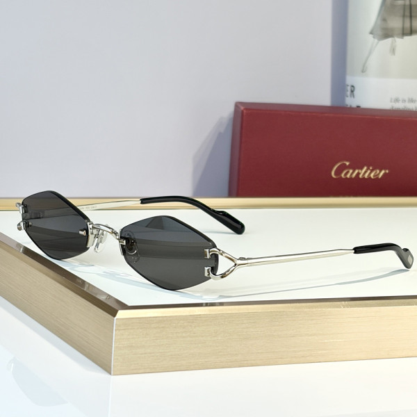 Cartier, Unisex Sunglasses