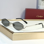 Cartier, Unisex Sunglasses
