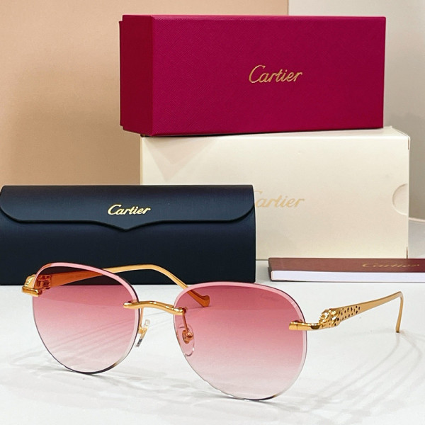 Cartier, Unisex Sunglasses