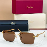 Cartier, Unisex Sunglasses