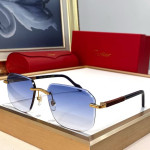 Cartier, Unisex Sunglasses